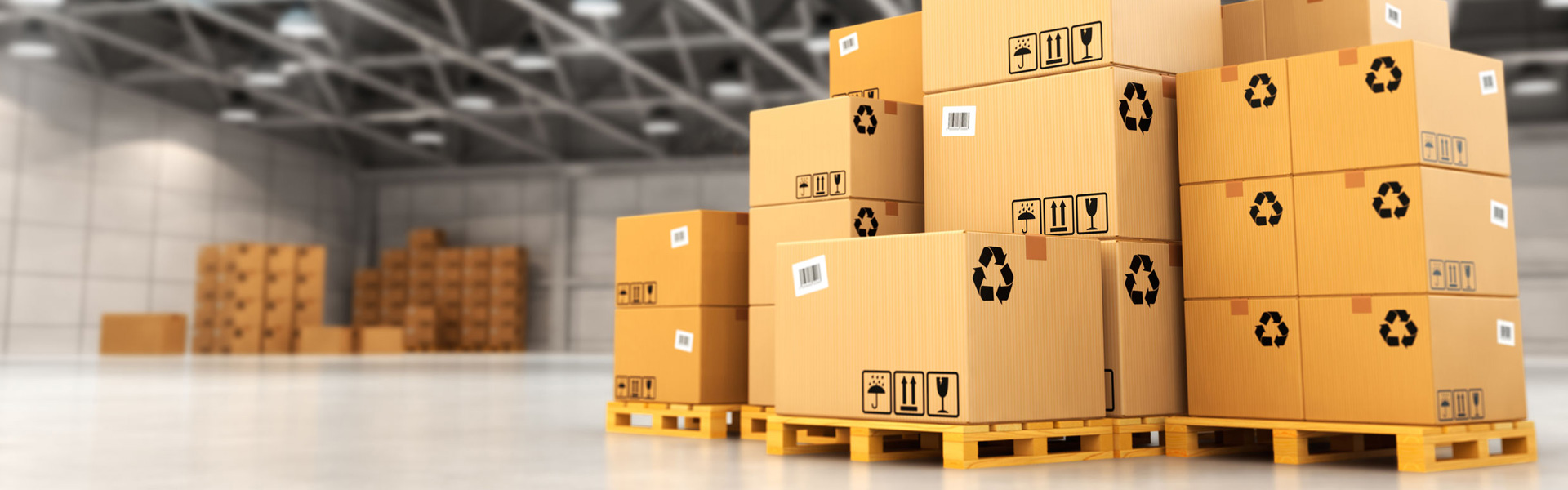 Packaging Unit